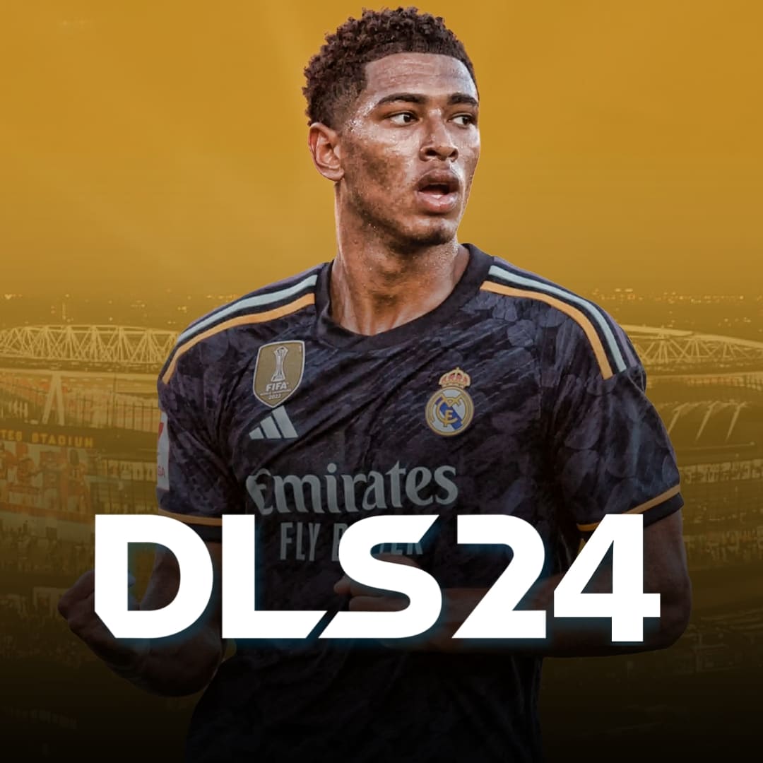 DLS 24  icon